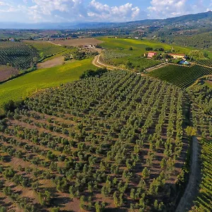  Alloggio per agriturismo Luggiano Italia